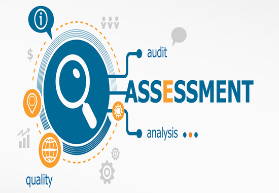 Vulnerability Assessment
